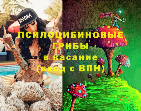 ГАЛЛЮЦИНОГЕННЫЕ ГРИБЫ Баксан