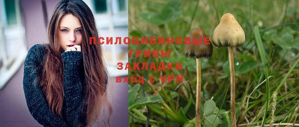 2c-b Балабаново